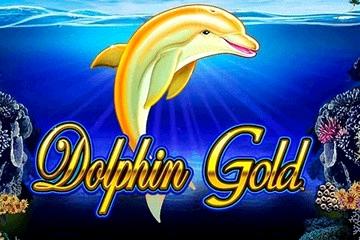 Dolphin slot machine big win videos