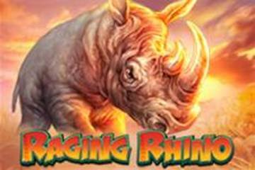 raging rhino jackpot